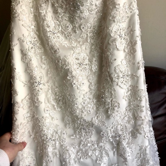 Unaltered Sample - Stella York 5986 - Picture 10 of 11